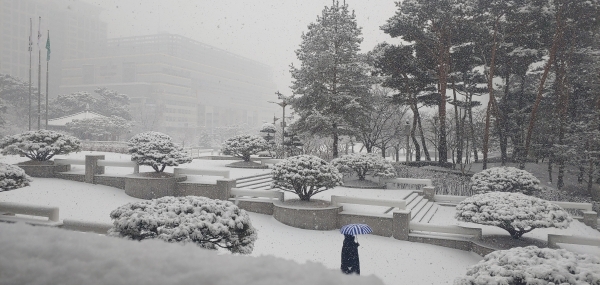 눈 쌓인 대전시청 남문 광장. 사진=연합뉴스