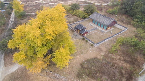 숭모각(임난수 사당)과 은행나무.사진=문화재청 제공