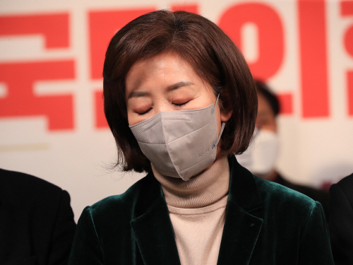 국민의힘 나경원 전 의원. 사진=연합뉴스