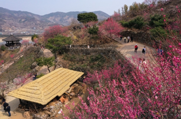 사진=연합뉴스