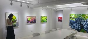 실제 같은 포도 그리는 김대연 작가, 히든스페이스에서 개인전 - 뉴스 썸네일 이미지